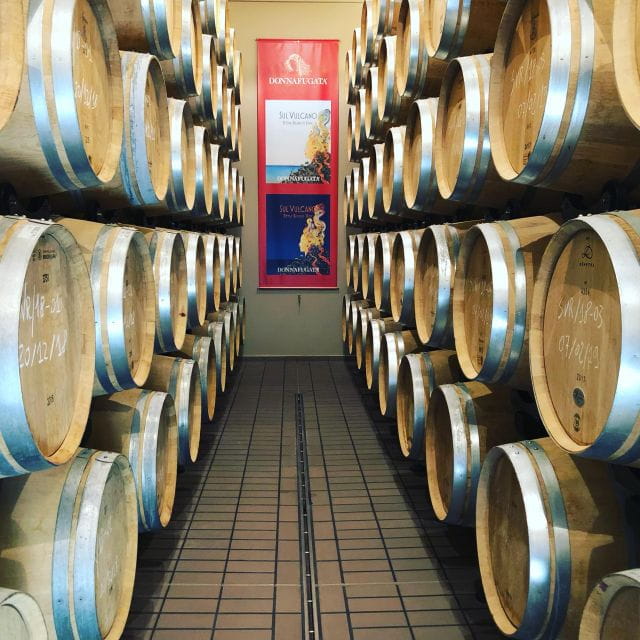 Etna Quad & Wine Combo Private Tour - Who Should Consider This Tour