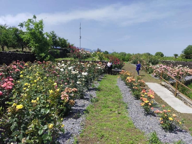 Etna & Sea: Pic Nic in Batia - The Farm and Cultural Highlights