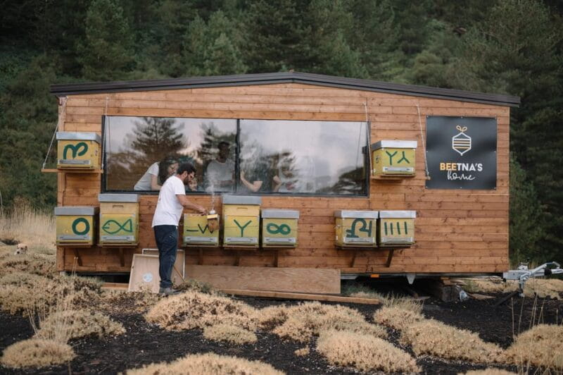 Etna: The magic World of Bees Tour - What to Expect from the Beekeeping Experience