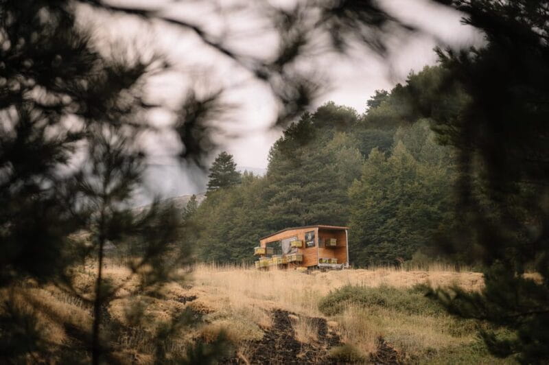 Etna: The magic World of Bees Tour - Why This Tour Is a Great Value