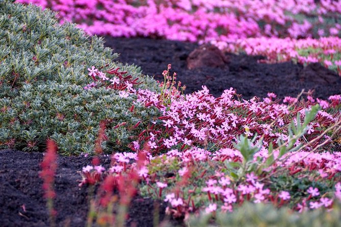 Etna Tour in 4x4 - Tour Details