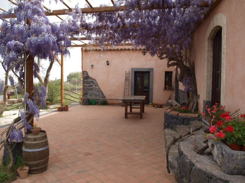 Etna: Tour in a Vintage Car with Cooking Class and Pickup - Final Thoughts