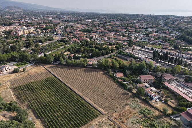 Etna Urban Winery - Tasting with Street Food Platter and vineyard - Exploring the Palmento: A Slice of Sicilian Heritage