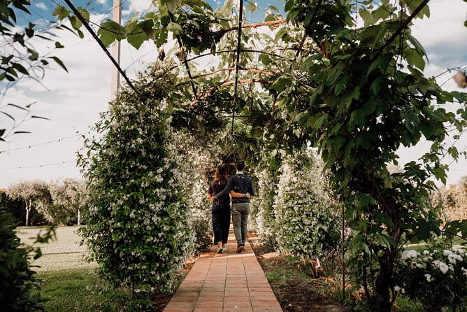 Etna Urban Winery - Tasting with Street Food Platter and vineyard - Who Should Consider This Experience?