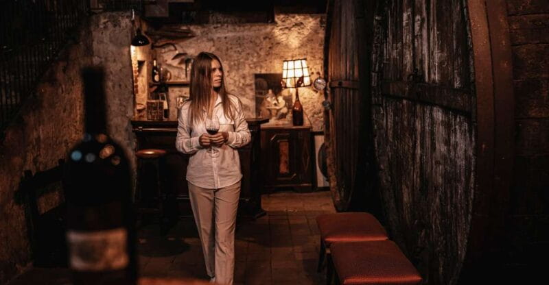 Etna: Urban Winery, Vineyards Walk & Wine Tasting at Sunset - Key Points / Takeaways