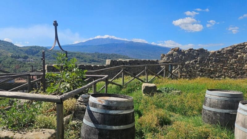 ETNA VILLAGES: OIL & RICOTTA TASTING with Lunch - Key Points / Takeaways