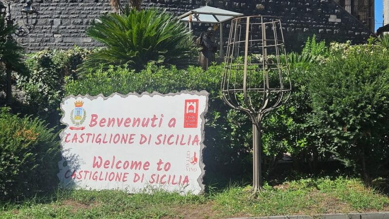 ETNA VILLAGES: OIL & RICOTTA TASTING with Lunch - A Culinary Journey: Cheese, Oil, and Ricotta