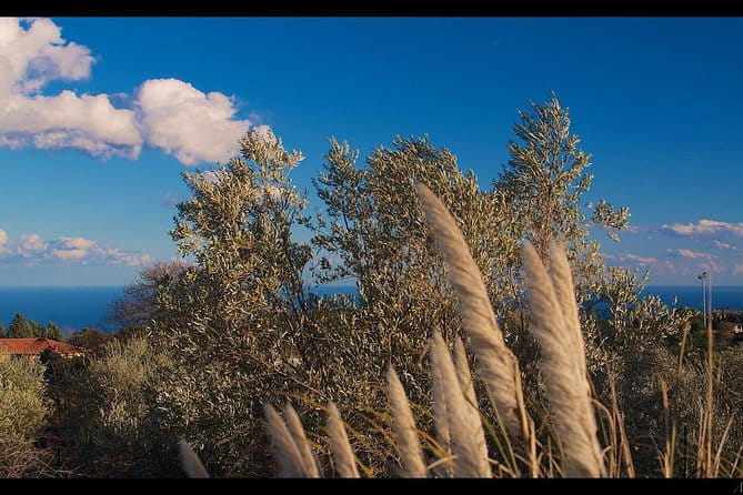 Etna Volcanic Yoga and Meditation Weekend (Private Experience) - Key Points / Takeaways