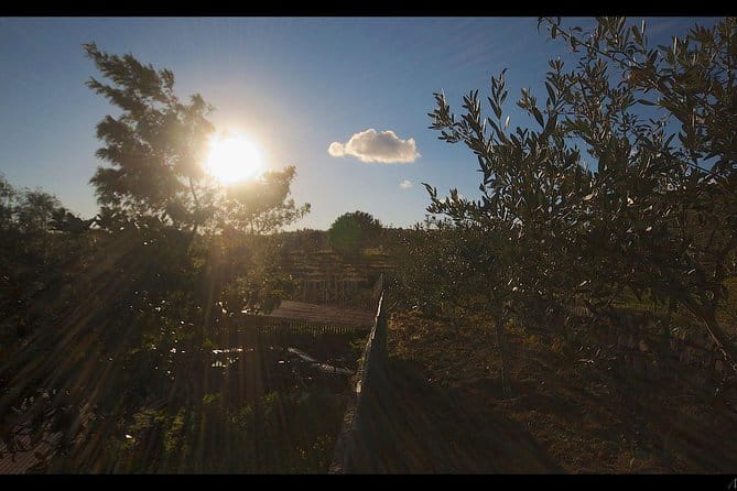 Etna Volcanic Yoga and Meditation Weekend (Private Experience) - Setting the Stage: Why Choose Mount Etna for a Wellness Retreat?