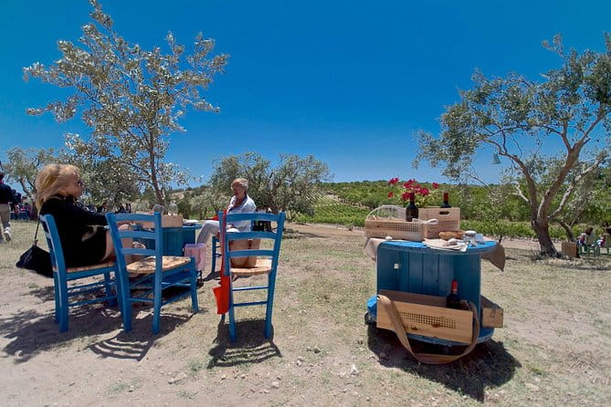 Etna Wine and Food Volcanic Day Tour - Private Experience - An In-Depth Look at the Etna Wine and Food Volcanic Day Tour