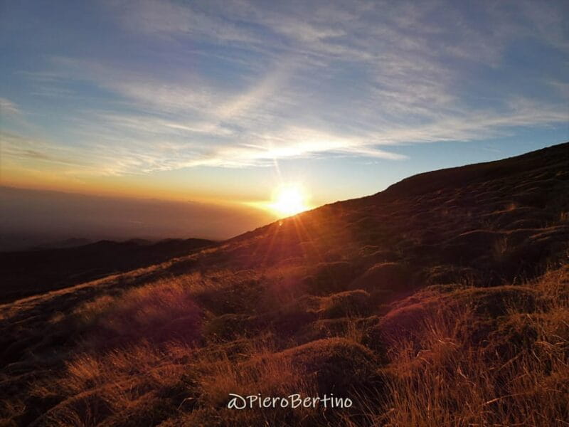 Etna wine Experience Sunset - Return to Catania: Reflections and Relaxation