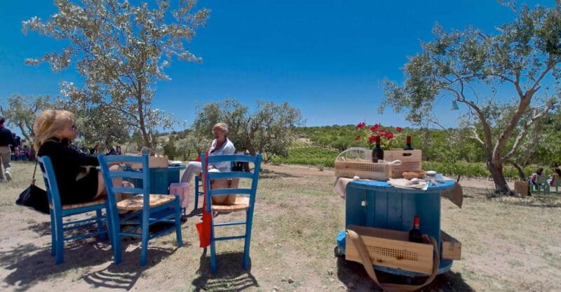 Etna & Wine Private Day Tour - Exploring Sicily’s Volcano and Vineyard: An In-Depth Look