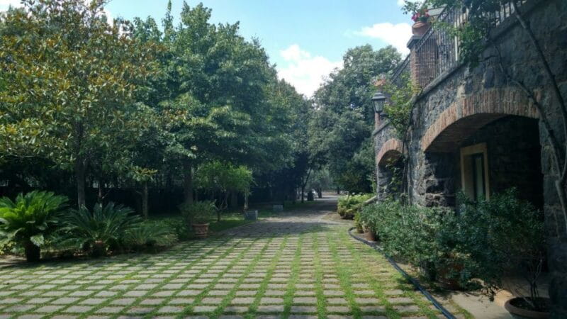 Etna: Wine Tasting and Food Tour - Key Points