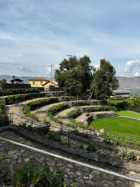 Etna: Wine Tasting and Food Tour - Who Will Love This Tour?