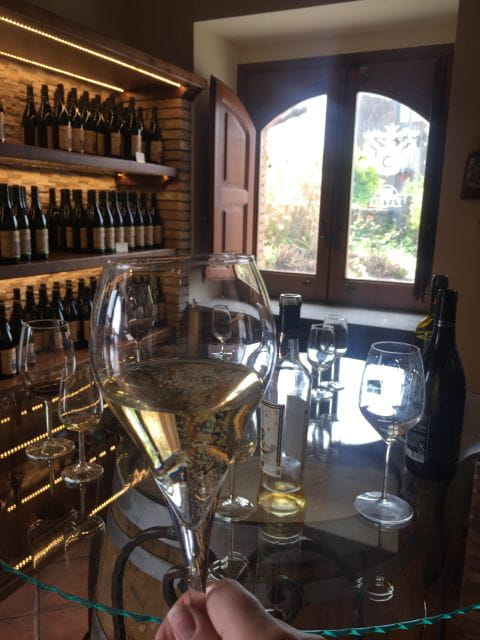 Etna Winery Wine & Food Tasting Private Tour - Key Points / Takeaways