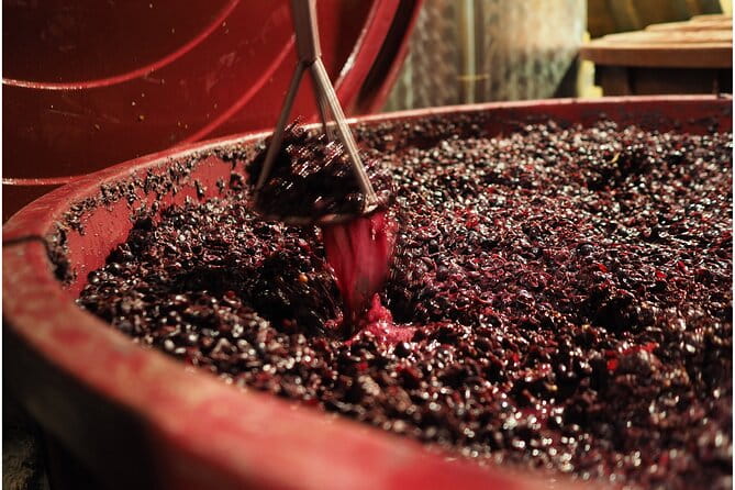 Etyek Private Half-Day Wine Tasting Tour from Budapest - Practical Details and Tips