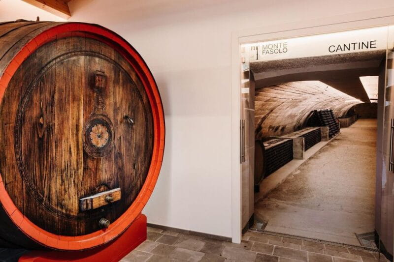 Euganean Hills Guided Wine Tour with Tasting From Padua - The Vineyard Walks and Tastings: An Authentic Glimpse