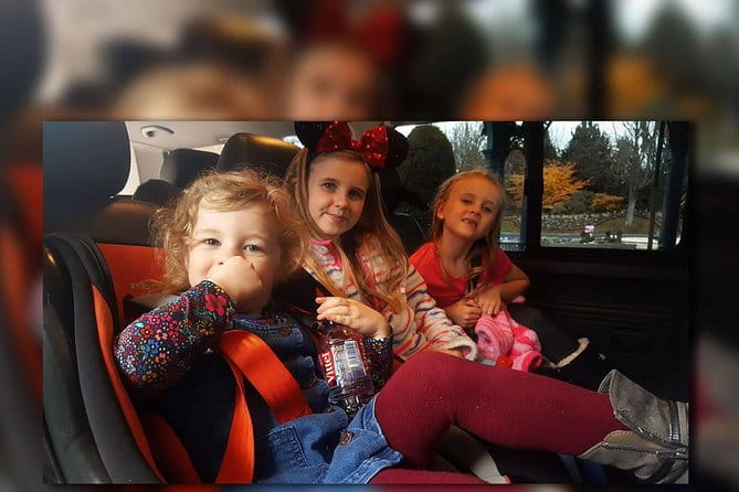 Euro Disney - CDG (One Way) Private Shuttle Transfer - Final Words: Is It Worth It?