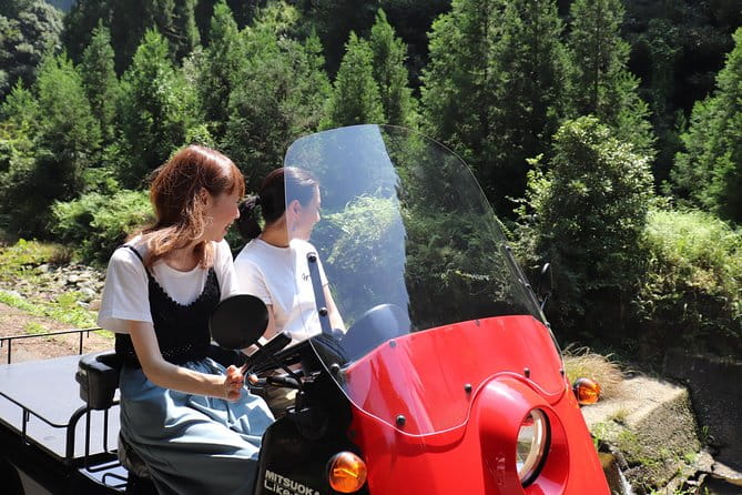 EV Car Rental Basket Group Local Tour & Guide - Schedule and Availability of Tours