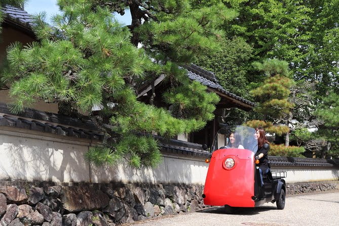 EV Car Rental Basket Group Local Tour & Guide - Accessibility Considerations