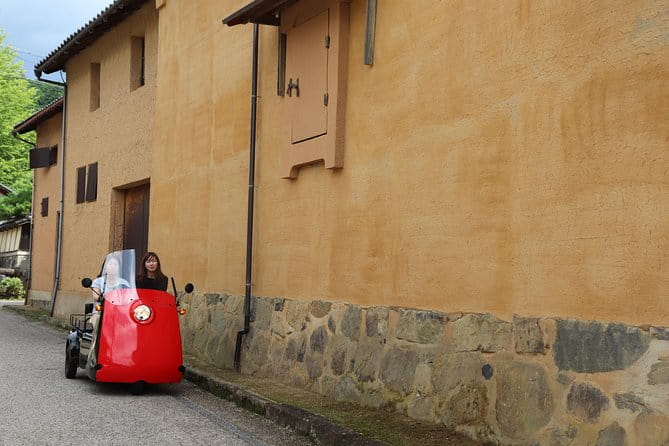 EV Car Rental Basket Group Local Tour & Guide - Whats Included in the Tour