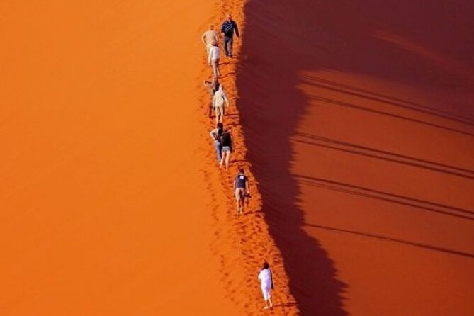 Evening Desert Safari With Belly Dance and BBQ Dinner and Camel Ride - Dune Bashing and Camel Ride