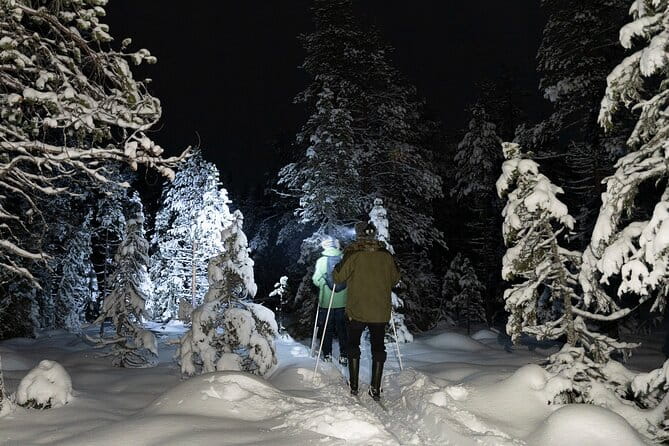 Evening Ski Trek to the Wilderness - Extra Small group - The Experience in Detail