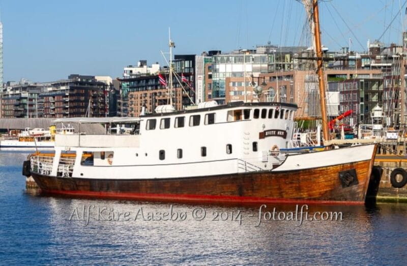 Eveningcruise Arctic Bliss Tour with Sami Dinner and Joiking - Who This Tour Suits Best