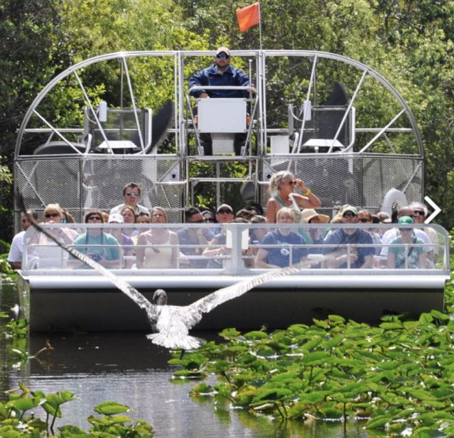 Everglades Airboat Ride & Guided Hike - Itinerary Highlights