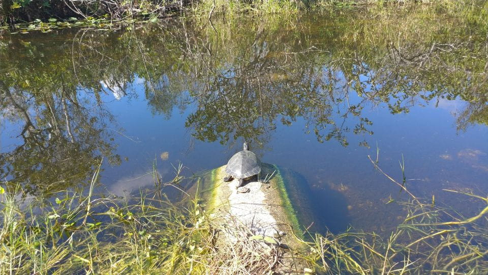 Everglades Airboat Ride & Tram Tour - Included Amenities