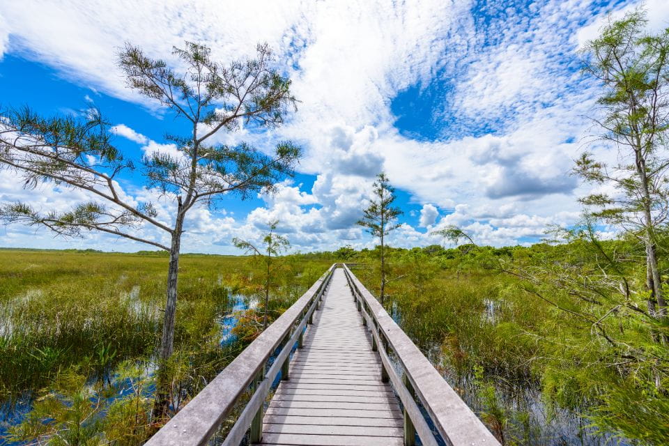 Everglades & Big Cypress Self Guided Driving Tour Bundle - Cultural Insights