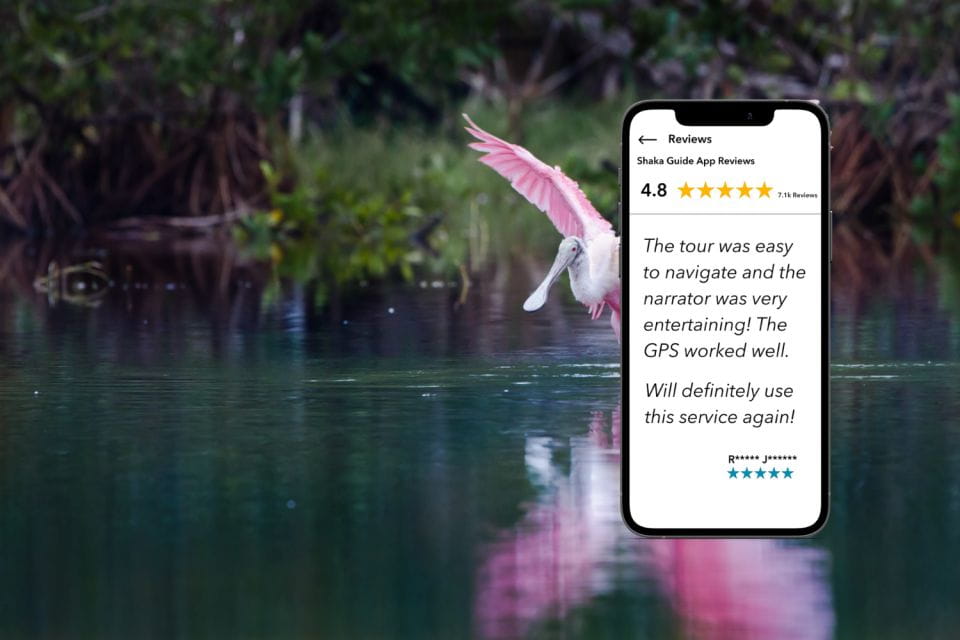 Everglades National Park: Audio Tour Guide - Flamingo Visitor Center Vistas