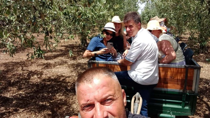 EVO Oil Tasting in Castelvetrano - Practical Tips for the Best Experience