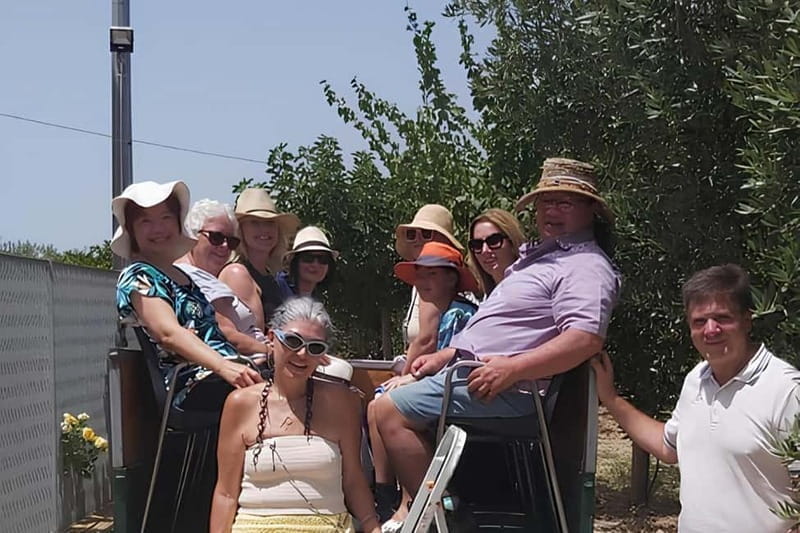 EVO Oil Tasting in Castelvetrano - Price and Logistics