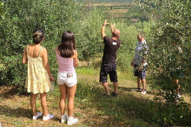 Evo Oil Tasting School with Blindfolded Tasting and Lunch - Key Points / Takeaways