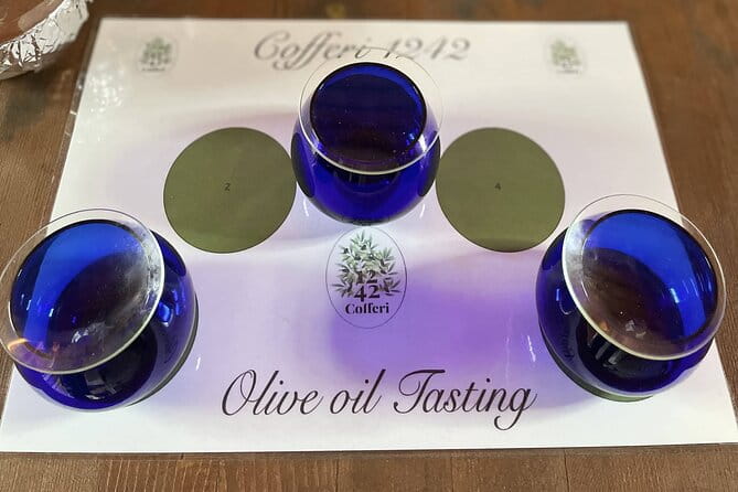 Evo Oil Tasting School with Blindfolded Tasting and Lunch - Who would love this experience?