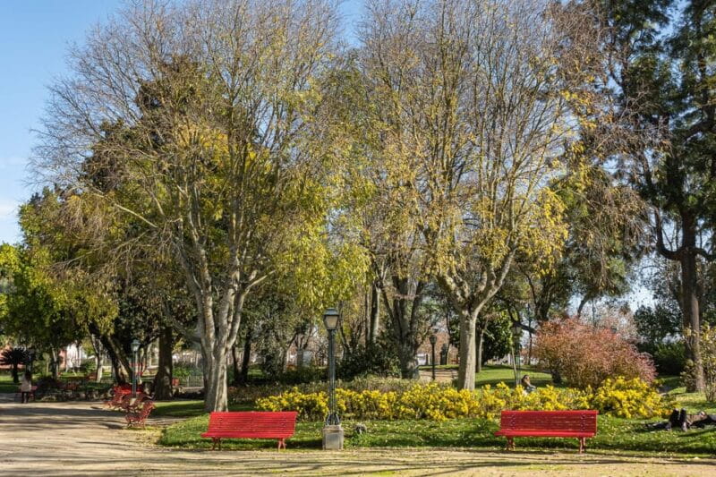 Évora: Flexible Walking Tour in Historic Center - Final Thoughts: A Smart, Flexible Way to Discover Évora