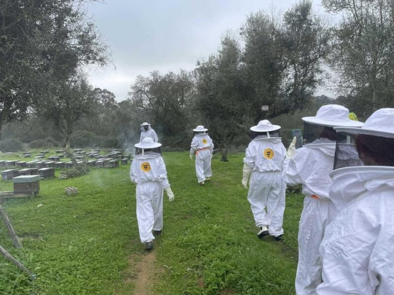 Évora or Montemor: Beekeeping, Chocolate factory, Wine tasting - A Journey into Portugal’s Authentic Flavors and Heritage