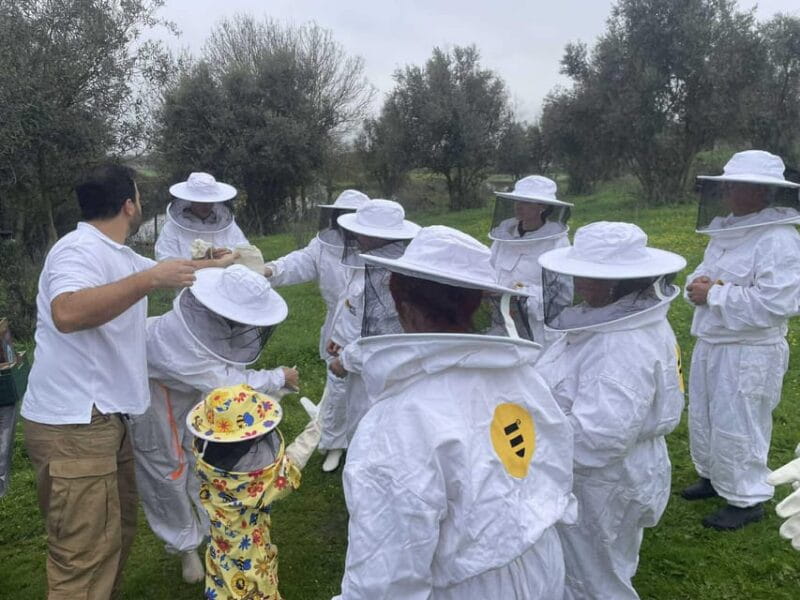 Évora or Montemor: Beekeeping, Chocolate factory, Wine tasting - Key points / Takeaways