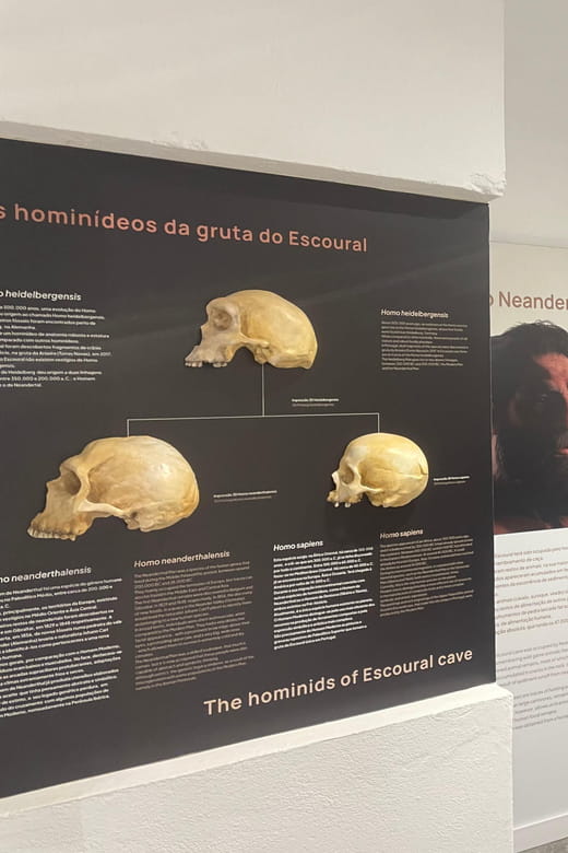 Évora or Montemor: Guided Tour of the Escoural Caves - Final Thoughts: Is It Worth It?