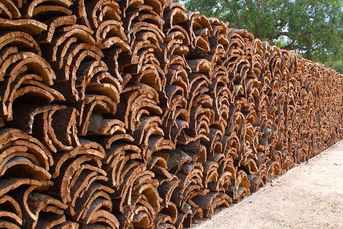 Évora Private Tour - Cork Factory Visit Included - FAQ