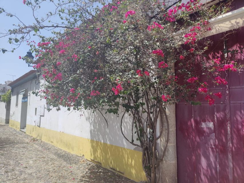 Évora Private Walking Tour - Customer Reviews