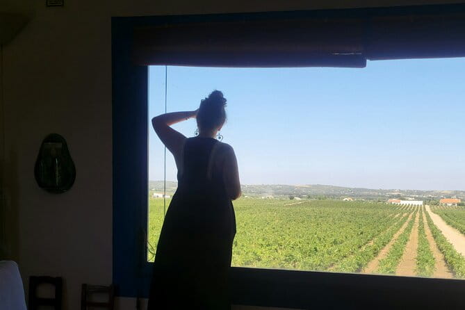 Evora Wine & Cork Experience - Key Points / Takeaways