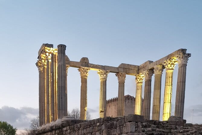 Evora Wine & Cork Experience - Cork Industry: An Eco-Friendly Tradition