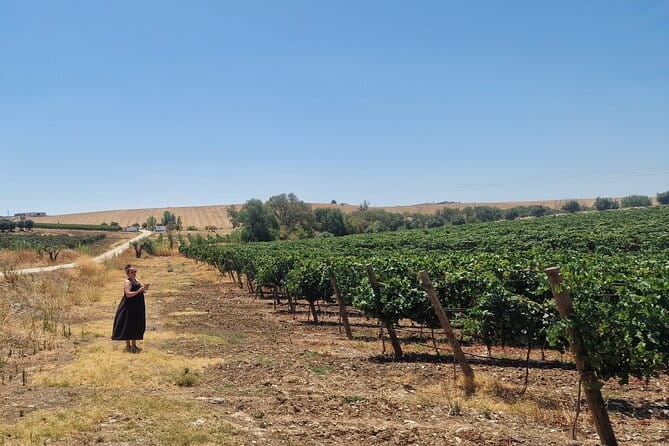 Evora Wine & Cork Experience - Walking Through History at Evora’s Cathedral