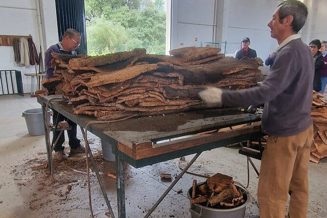 Evora Wine & Cork Experience - Practical Aspects: Transport, Duration, and Value