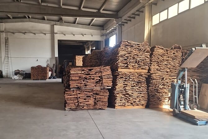 Evora Wine & Cork Experience - Who is This Tour Best Suited For?