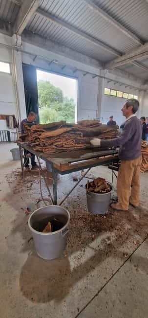 Évora & Wines: A Taste of Authentic Alentejo - A Closer Look at the Experience