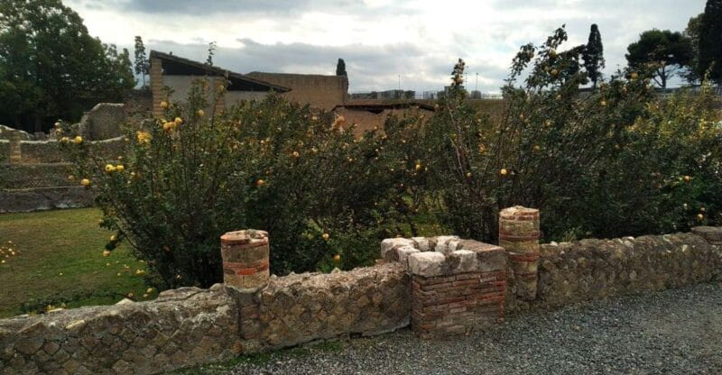 Excellent Herculaneum Guided tour with a Licensed Guide.. - FAQs