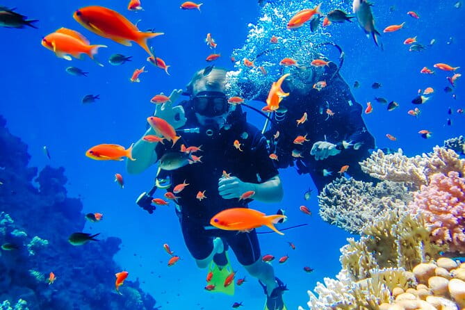 Exciteful Scuba Diving Experience in Antalya - Discovering Antalyas Underwater Charm: The Full Experience